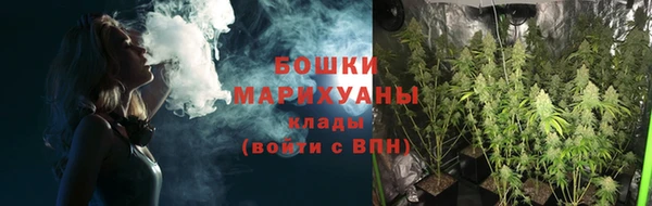 Альфа ПВП Белокуриха