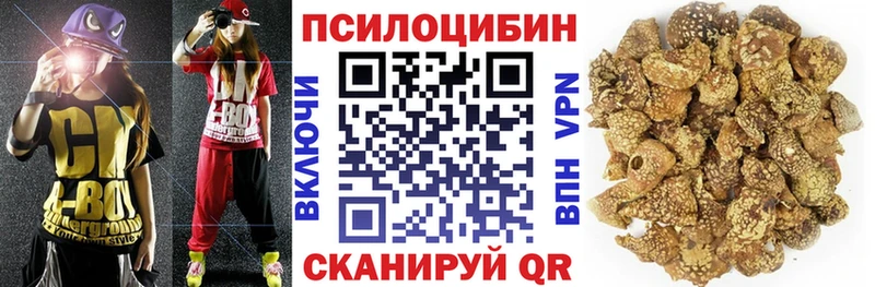 Галлюциногенные грибы Cubensis купить наркотики цена Выборг