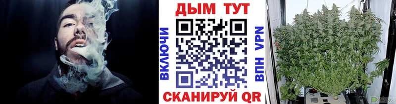 Бошки марихуана конопля  Выборг 